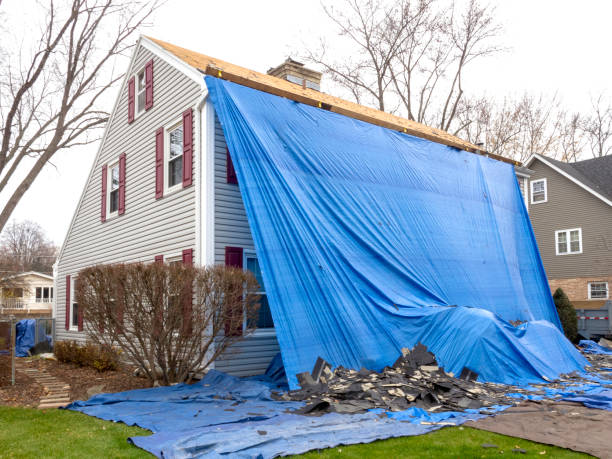 Best Shed Removal  in Kingsport, TN